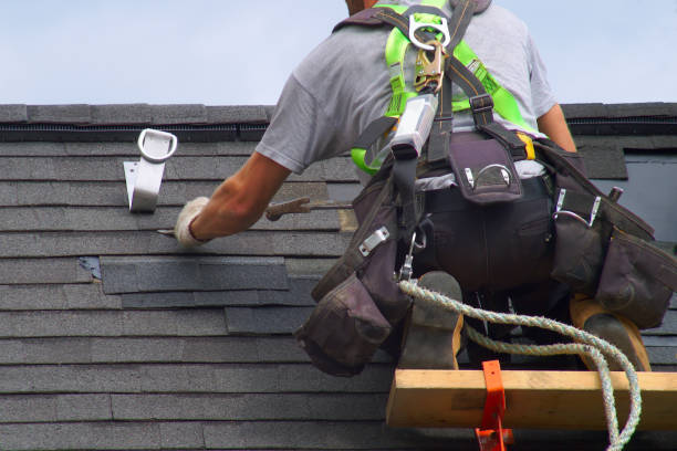 Best Metal Roofing Contractor  in Raymond, IL