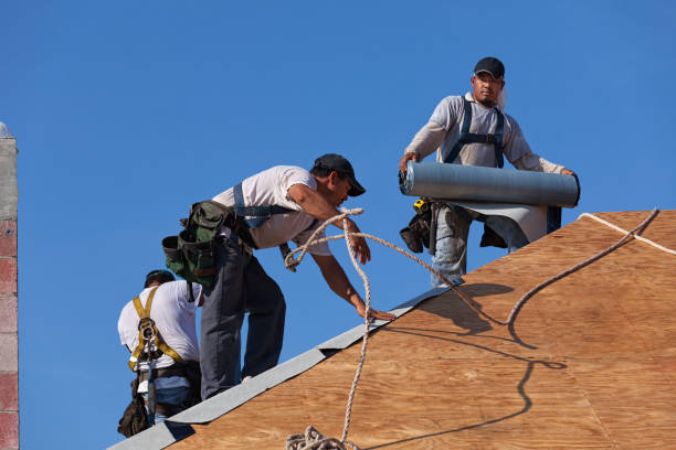 Best Flat Roof Repair Services  in Raymond, IL